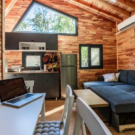 Lion's Forest Villa *