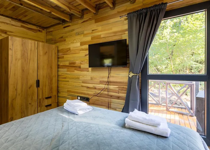 Lion's Forest * Atiya