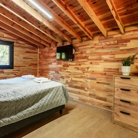 Willa Lion's Forest Atiya