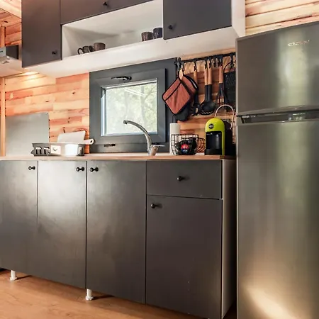 Willa Lion's Forest *