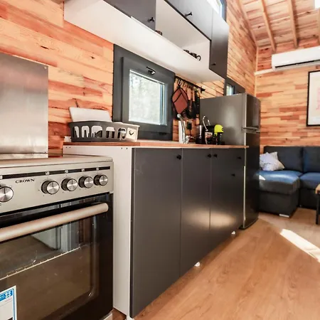 Lion's Forest Willa *